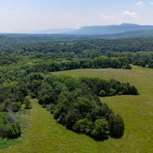 Photo #51 of CAVALIER RD, RILEYVILLE, VA 115.5 acres
