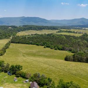 Photo #53 of CAVALIER RD, RILEYVILLE, VA 115.5 acres