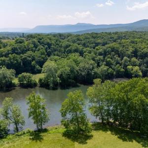 Photo #56 of CAVALIER RD, RILEYVILLE, VA 115.5 acres