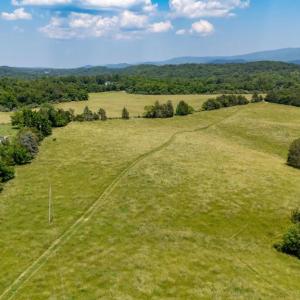 Photo #62 of CAVALIER RD, RILEYVILLE, VA 115.5 acres