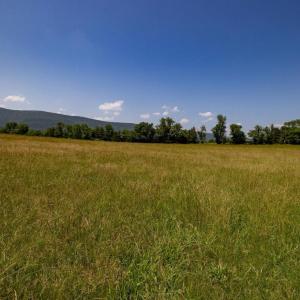 Photo #64 of CAVALIER RD, RILEYVILLE, VA 115.5 acres