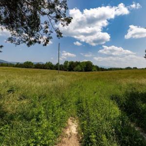 Photo #65 of CAVALIER RD, RILEYVILLE, VA 115.5 acres