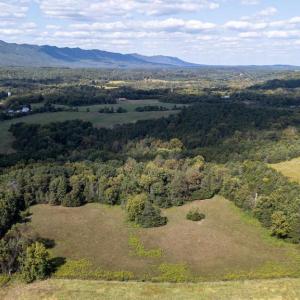 Photo #66 of CAVALIER RD, RILEYVILLE, VA 115.5 acres
