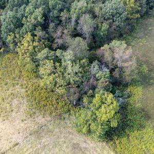 Photo #69 of CAVALIER RD, RILEYVILLE, VA 115.5 acres