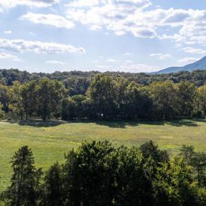 Photo #72 of CAVALIER RD, RILEYVILLE, VA 115.5 acres