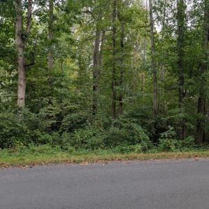 Photo #2 of 203 BATTLEFIELD RD, LOCUST GROVE, VA