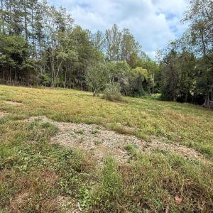 Photo #4 of 6360 THARP RD, CULPEPER, VA 2.9 acres