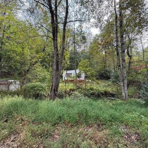 Photo #5 of 6360 THARP RD, CULPEPER, VA 2.9 acres