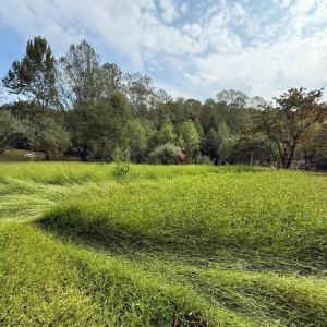 Photo #6 of 6360 THARP RD, CULPEPER, VA 2.9 acres