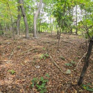 Photo #1 of LONG VIEW DR, LURAY, VA 0.9 acres