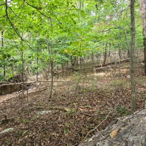 Photo #2 of LONG VIEW DR, LURAY, VA 0.9 acres