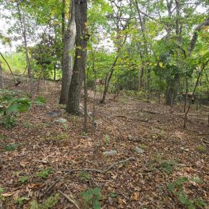 Photo #3 of LONG VIEW DR, LURAY, VA 0.9 acres