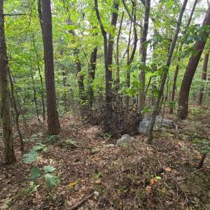 Photo #4 of LONG VIEW DR, LURAY, VA 0.9 acres