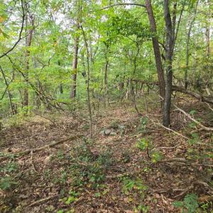 Photo #5 of LONG VIEW DR, LURAY, VA 0.9 acres