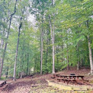 Photo #17 of HENSLEY RD, MINERAL, VA 2.0 acres