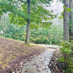 Photo #16 of HENSLEY RD, MINERAL, VA 2.0 acres