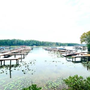 Photo #15 of HENSLEY RD, MINERAL, VA 2.0 acres