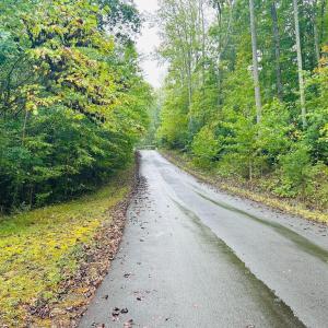 Photo #6 of HENSLEY RD, MINERAL, VA 2.0 acres