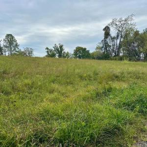 Photo #1 of LOOKOUT LN, CULPEPER, VA 30.0 acres
