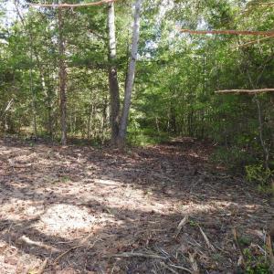 Photo #7 of EQUESTRIAN LANDING TRL, BUMPASS, VA 5.1 acres