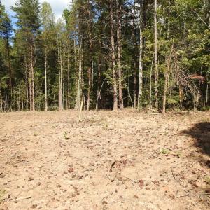 Photo #10 of EQUESTRIAN LANDING TRL, BUMPASS, VA 5.1 acres