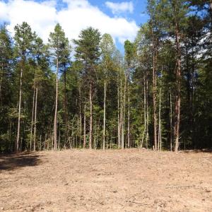 Photo #11 of EQUESTRIAN LANDING TRL, BUMPASS, VA 5.1 acres