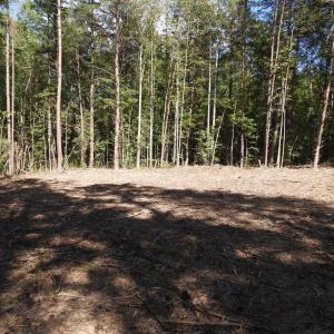 Photo #14 of EQUESTRIAN LANDING TRL, BUMPASS, VA 5.1 acres