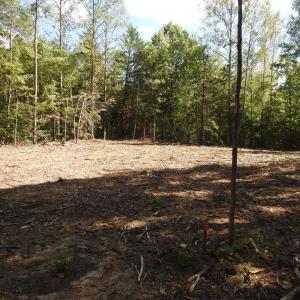 Photo #15 of EQUESTRIAN LANDING TRL, BUMPASS, VA 5.1 acres