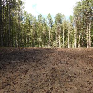 Photo #6 of EQUESTRIAN LANDING TRL, BUMPASS, VA 5.1 acres