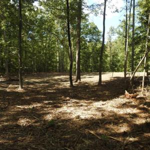 Photo #8 of EQUESTRIAN LANDING TRL, BUMPASS, VA 5.1 acres