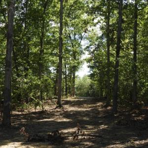 Photo #19 of EQUESTRIAN LANDING TRL, BUMPASS, VA 5.1 acres