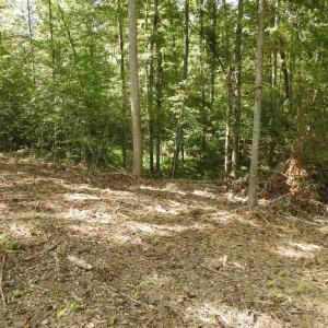 Photo #12 of EQUESTRIAN LANDING TRL, BUMPASS, VA 5.1 acres