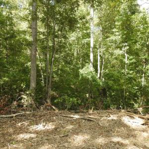 Photo #13 of EQUESTRIAN LANDING TRL, BUMPASS, VA 5.1 acres