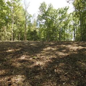 Photo #14 of EQUESTRIAN LANDING TRL, BUMPASS, VA 5.1 acres