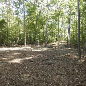 Photo #17 of EQUESTRIAN LANDING TRL, BUMPASS, VA 5.1 acres