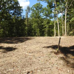 Photo #9 of EQUESTRIAN LANDING TRL, BUMPASS, VA 5.1 acres