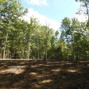 Photo #15 of EQUESTRIAN LANDING TRL, BUMPASS, VA 5.1 acres
