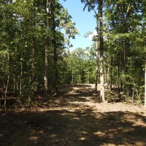 Photo #6 of EQUESTRIAN LANDING TRL, BUMPASS, VA 5.1 acres