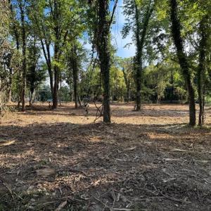 Photo #3 of EAST ST, GORDONSVILLE, VA 1.0 acres