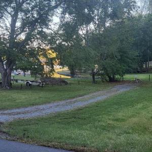 Photo #7 of 835 NORTH LAKE SHORE DR, LOUISA, VA