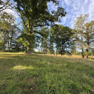 Photo #11 of 164 GARRETTS MILL RD, BUMPASS, VA 19.7 acres