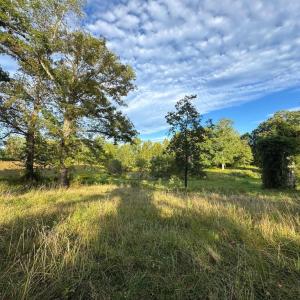 Photo #12 of 164 GARRETTS MILL RD, BUMPASS, VA 19.7 acres