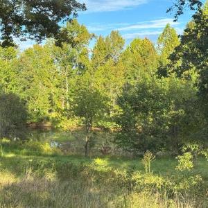 Photo #13 of 164 GARRETTS MILL RD, BUMPASS, VA 19.7 acres