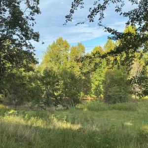Photo #10 of 164 GARRETTS MILL RD, BUMPASS, VA 19.7 acres