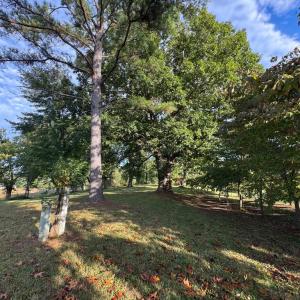 Photo #19 of 164 GARRETTS MILL RD, BUMPASS, VA 19.7 acres