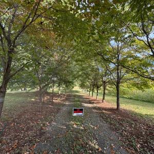 Photo #20 of 164 GARRETTS MILL RD, BUMPASS, VA 18.3 acres