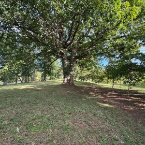 Photo #4 of 164 GARRETTS MILL RD, BUMPASS, VA 18.3 acres