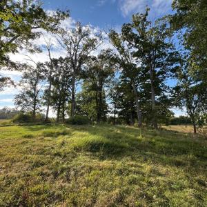 Photo #14 of 164 GARRETTS MILL RD, BUMPASS, VA 18.3 acres