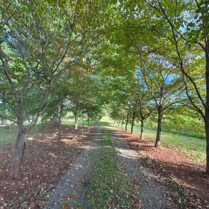 Photo #21 of 164 GARRETTS MILL RD, BUMPASS, VA 18.3 acres