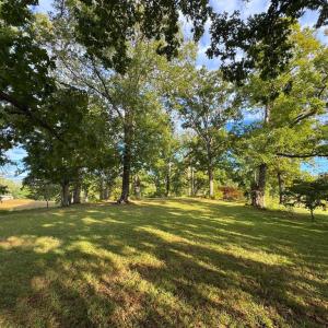 Photo #5 of 164 GARRETTS MILL RD, BUMPASS, VA 18.3 acres
